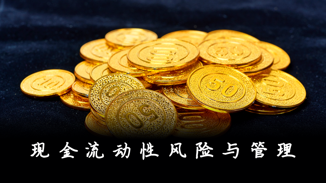 现金流动性风险与管理